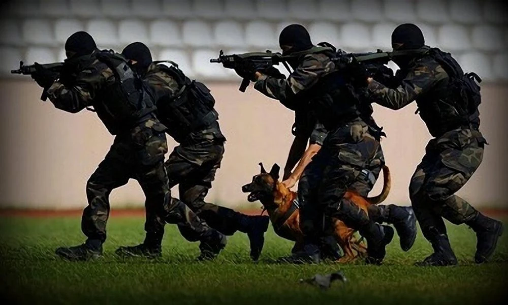 Παραστρατιωτικός "παράδεισος" η Τουρκία! Κολοσσιαίες χρηματοδοτήσεις στη φιλοκαθεστωτική SADAT